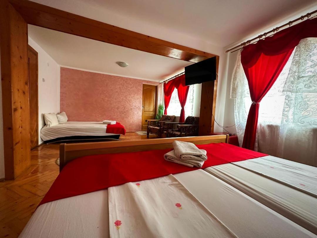 Hotel Casa Mary à Haţeg Extérieur photo